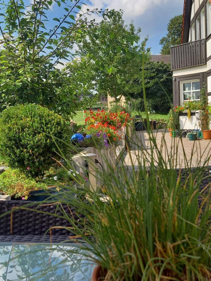 Landidylle Mit Garten, Whirlpool Und Klima Reken Ngoại thất bức ảnh
